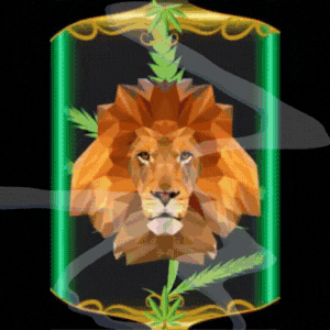 King Rasta Hazy Dayz NFT Collection Coming Soon